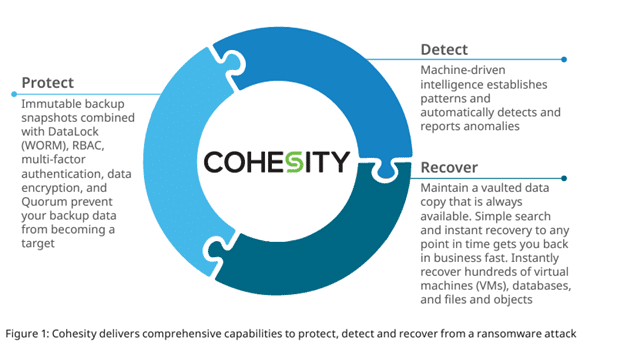 Cohesity Protect Detect Recover vs Ransomware